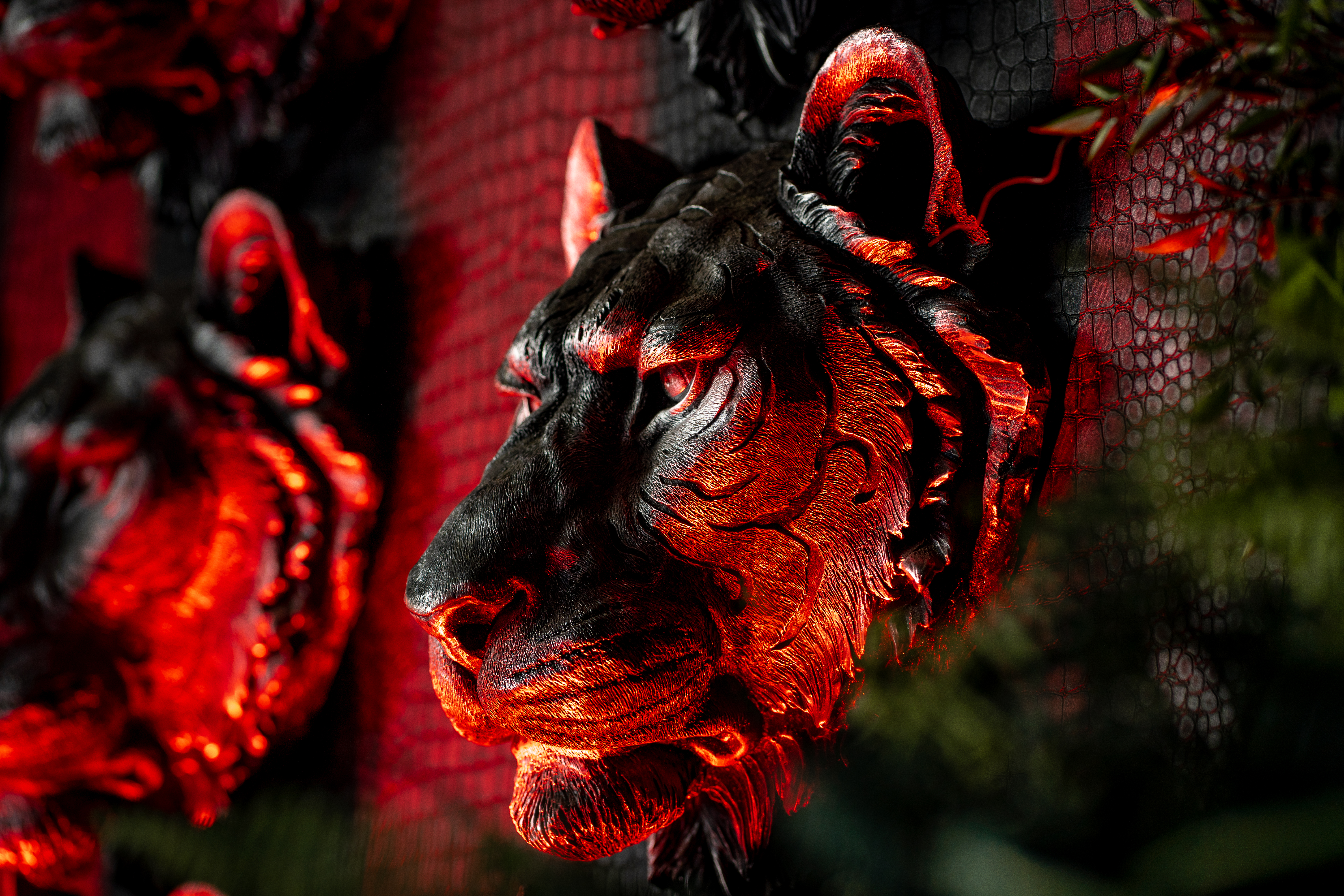 Tigerbay venue detail
