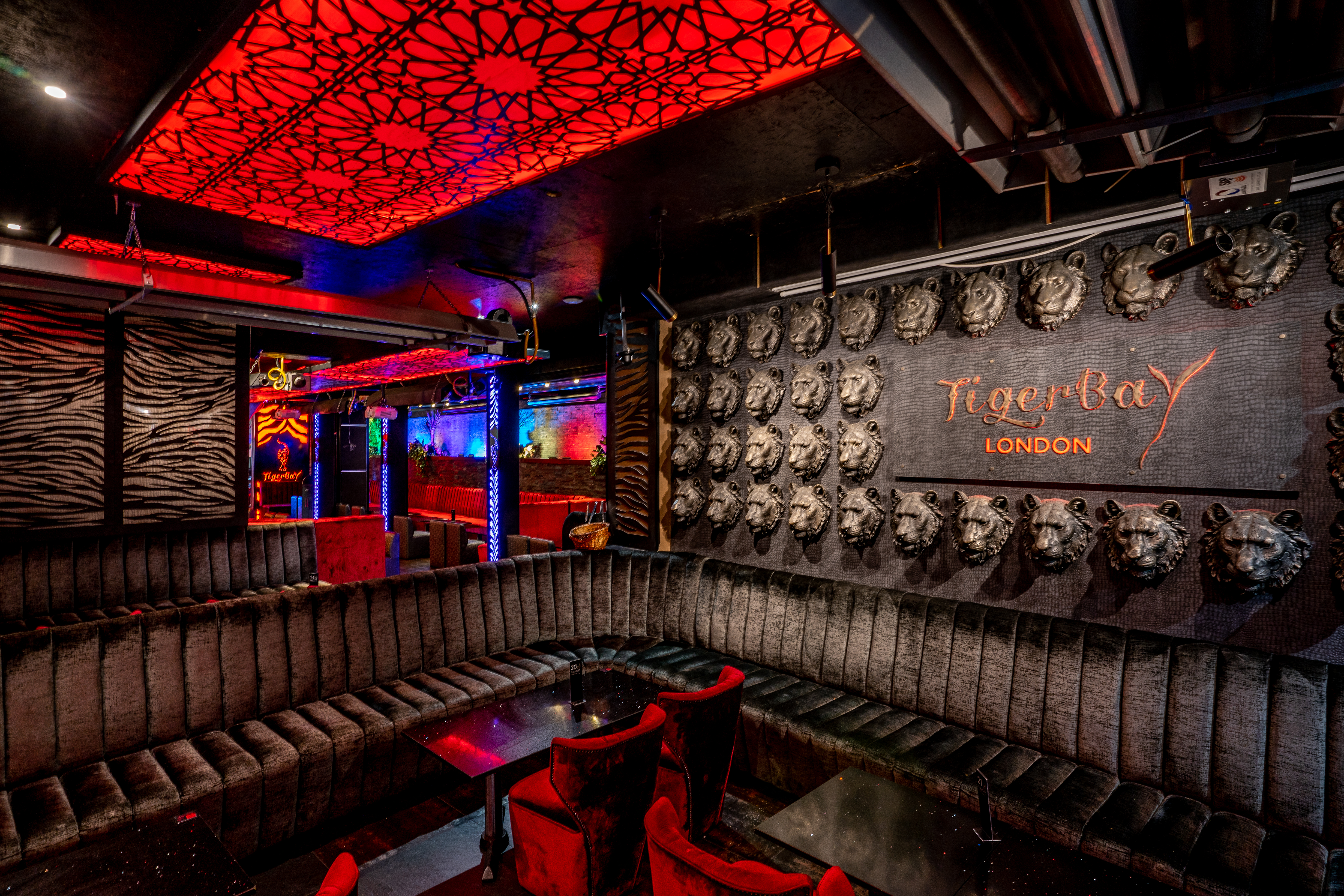 Tigerbay Group atmosphere